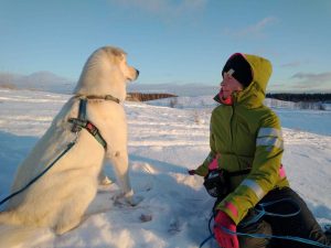 Uusi vapaaehtoistoiminnan assistentti Lina Nikula vaalean ison koiransa kanssa talvimaisemassa.